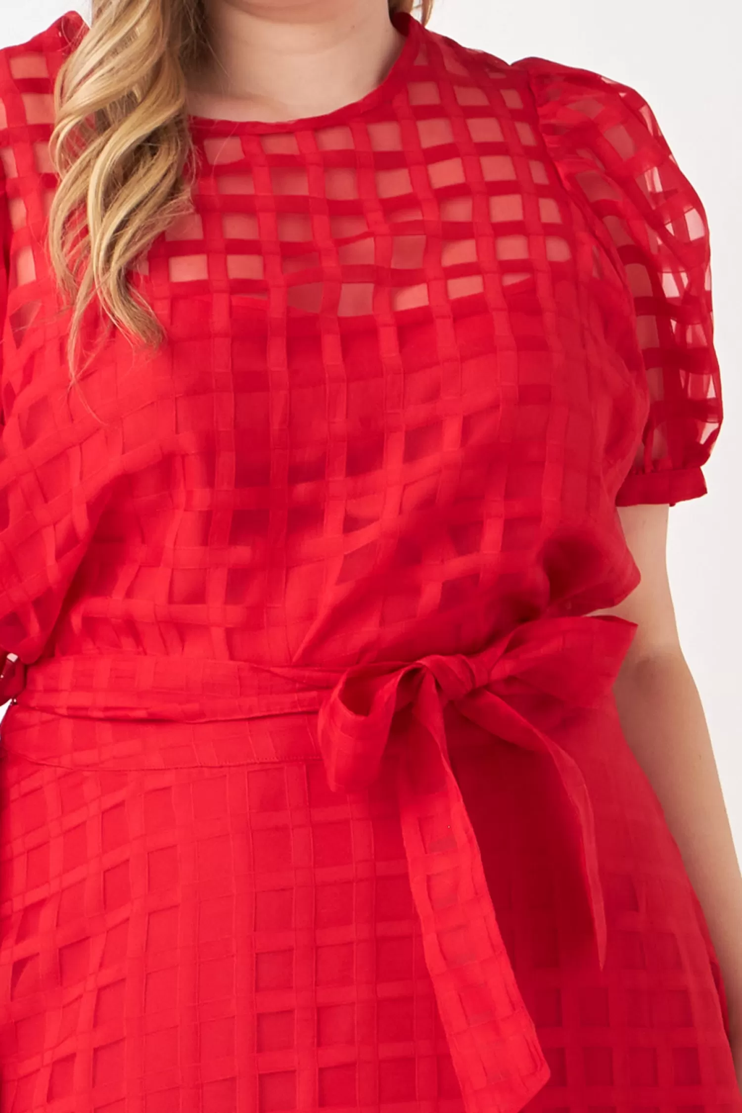 Online Plus Size Plaid Organza Fit & Flare Midi Skirt Plus Size | Skirts